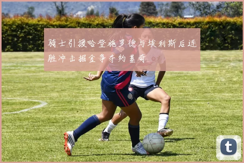 骑士引援哈登施罗德与埃利斯后连胜冲击掘金争夺约基奇